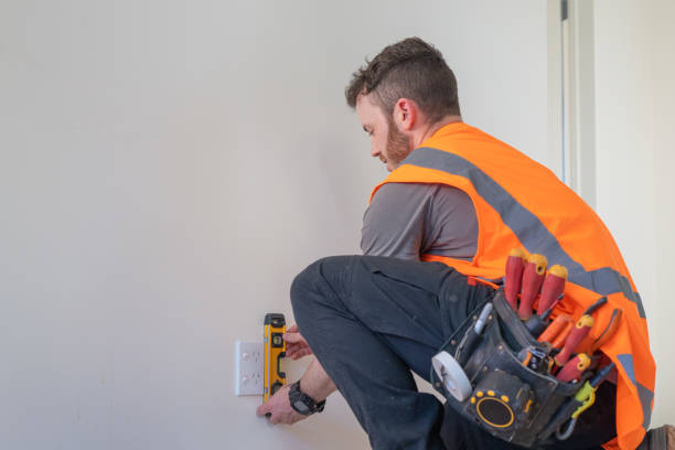 Best Local Electrician Companies  in Sauk Vlage, IL